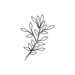 Branch drawn in line art style