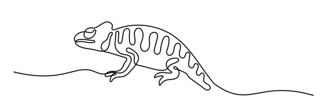 Chameleon Continuous Single Line Art