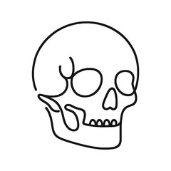 Vector minimalistic linear illustration of a skull on a white background.