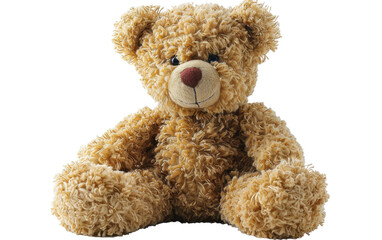 Soft Plush Teddy Bear on Transparent Background