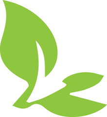 leaf logo of vector image