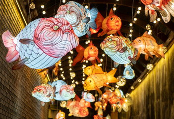 The Golden Fish Lantern Hanging on Traditional Chinese Festivals