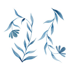 Fototapeta na wymiar Blue flower and leaves watercolor illustration isolated on white background.