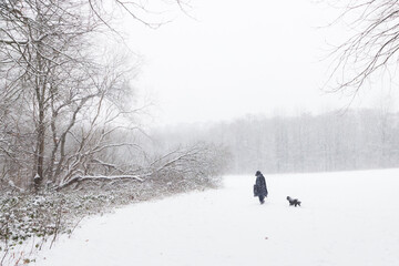 Dog lover walks her dog in the woods during a heavy snowstorm