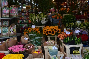 Many different colorful flowers in florist shop