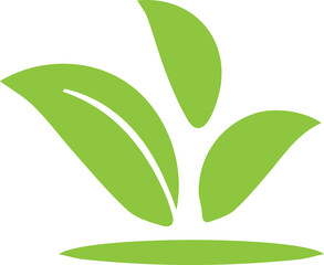 leaf logo of vector image