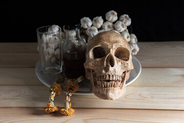 skulls , decorative dried herbs and a skeletal head, perfect for Halloween or medical-themed design