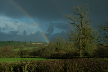 rainbow over the field