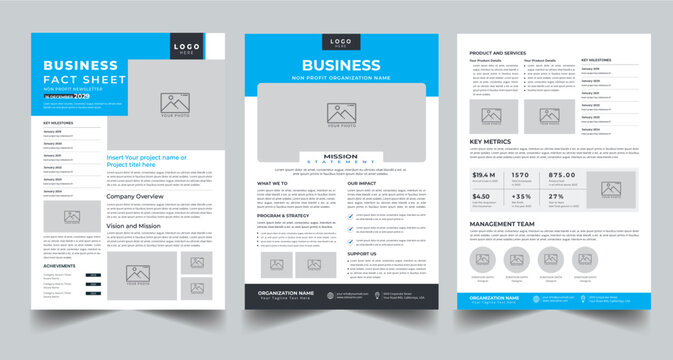 Business Fact Sheet, Nonprofit Organization Fact Sheet layout template