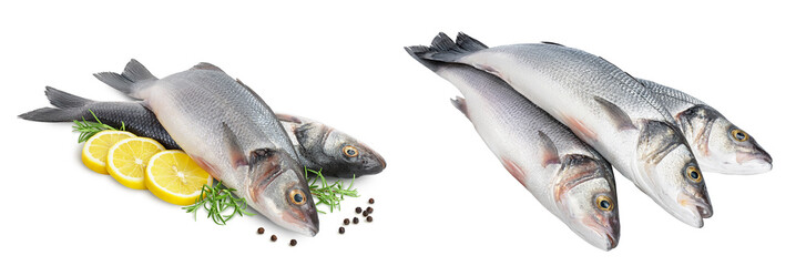 Sea bass fich isolated on white background with full depth of field.