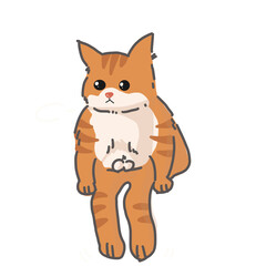 Orange cat is sitting 