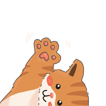 Orange cat says hi