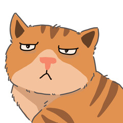 Orange cat so boring 