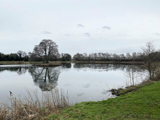 A view of Alderford Lake in Shropshire in the winter