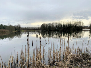 A view of Alderford Lake in Shropshire in the winter