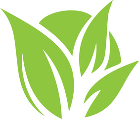 leaf logo of vector image