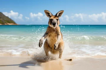 Foto op Plexiglas kangaroo having fun at the beach. Generative AI © Melisande