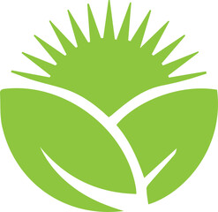 leaf logo of vector image