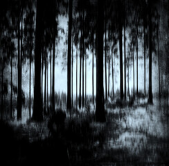 Obraz premium Night in the scary forest, spooky landscape