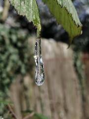 Eiszapfen mit filigraner Kunst