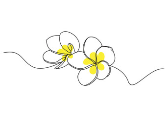 Plumeria flowers in continuous one  line art drawing. Frangipani blossom. Vector illustration isolated on white.
