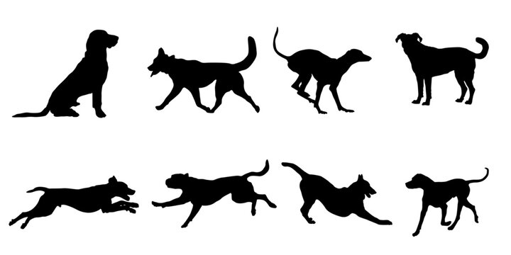 silhouettes of dog vector