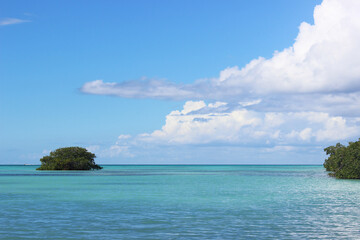 Seascape with mangrove trees and clouds on blue sky in the Caribbean