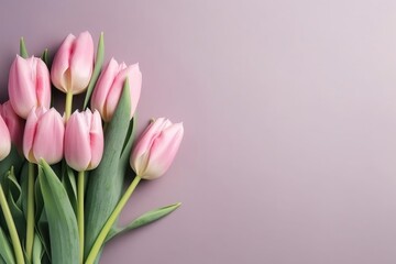 Pink tulips on light background, place for text, top view.
