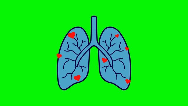 Animated Healthy Lungs with Love Icon