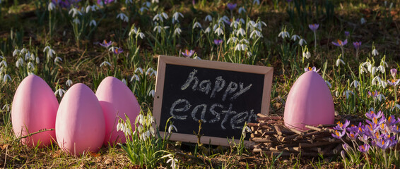 White and pink blooming spring flowers and easter egg as easter card concept