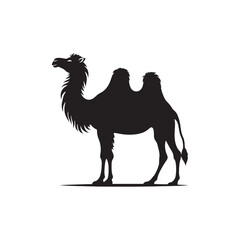 Desolation Rhapsody: Camel Silhouette Series Performing a Soulful Rhapsody in the Heart of the Desert - Camel Illustration - Camel Vector

