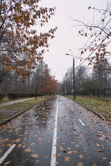 two mounted policemen riding into the distance on horseback along the road in autumn during the rain in a city park