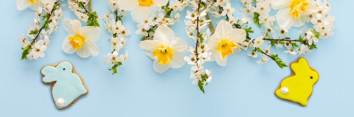 Festive banner with spring flowers and naturally colored eggs and Easter bunnies, white daffodils and cherry blossom branches on a blue pastel background