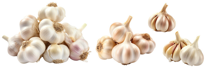Collection of garlics isolated on transparent or white background	