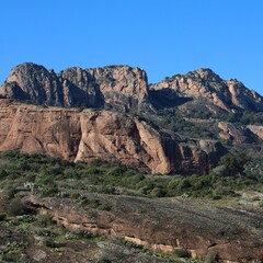 Fototapeta premium french landscape in Var disrict, Provence, France