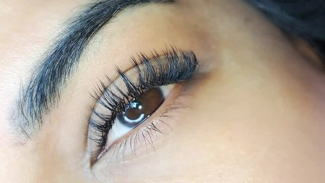 Close up of eye with eyelash extensions ,beauty salon treatment ,2d volume, 3d volume, classical lashes,Russian volume,megavolume, new set.