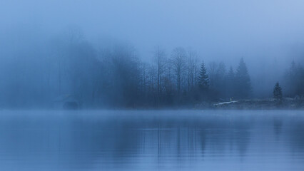 fog on the lake