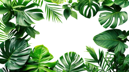 Fotobehang Tropical green leaves for decoration of art frame wallpaper,card on transparent background. © Areerat