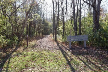 The beginning of the trail in the woods on a sunny day.