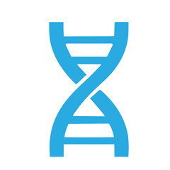 Molecular structure and DNA vector set