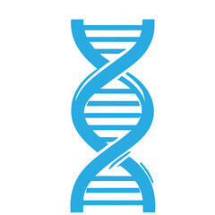 Molecular structure and DNA vector set