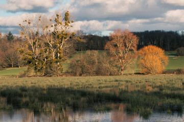 Les marais de Robehomme, Calvados, Normandie.