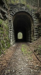 Fototapeta na wymiar A Tunnel Abandoned for Centuries
