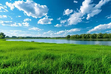 green grass field near lake under blue sky - obrazy, fototapety, plakaty
