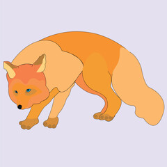 The fox stands on four legs, slightly bent over, side view. A predatory animal has a body covered with fluffy fur, a head, nose, eyes, tail, paws and claws.