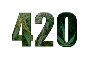 420 world cannabis day. April 4th world marijuana day. concept 420.