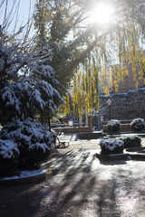 Parque Muel Zaragoza en invierno con nieve, España, parque nevado, arboles con nieve, turismo, españa