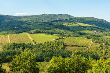 Fototapeta na wymiar Beautiful tuscan landscape near Greve in Chianti, on a sunny summer day. Province of Florence, Tuscany, Italy.