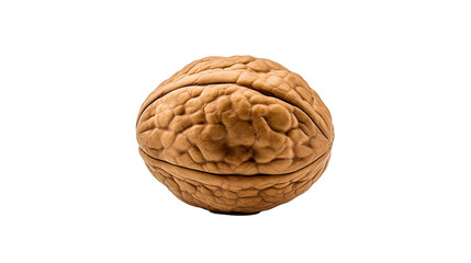 Close up single brown walnut shell