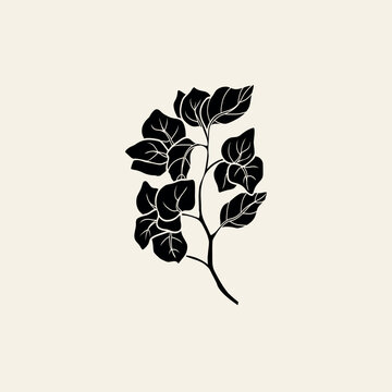 recommend clip art: Flat vector bougainvillea flower branch	